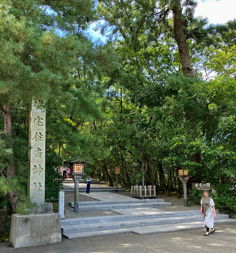 表参道入口の社号標と松並木