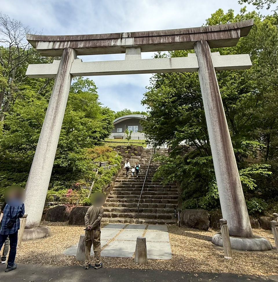 緑に包まれた大鳥居と石段