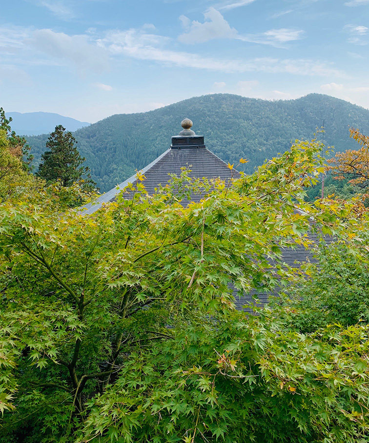 本殿背後に広がる山並みの眺望
