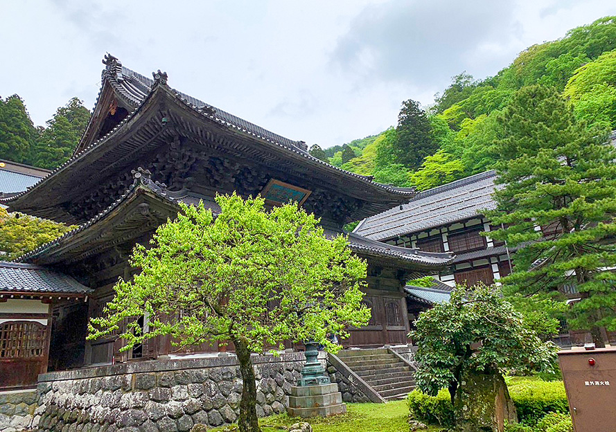 山肌に寄り添う伽藍の外観