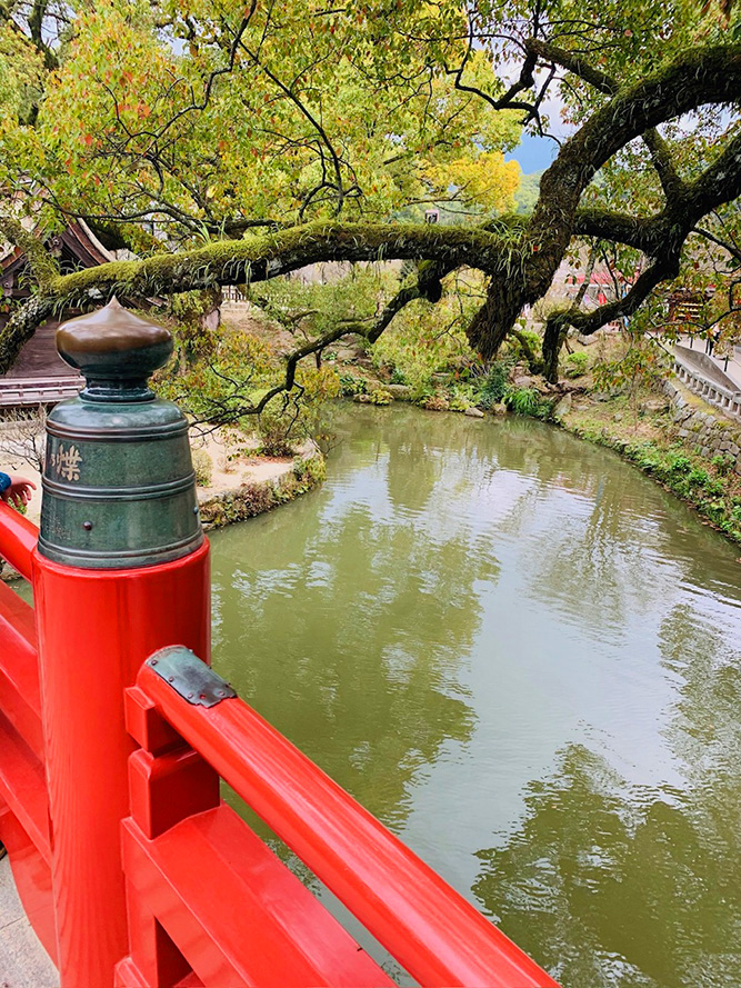 心字池と朱の手すり