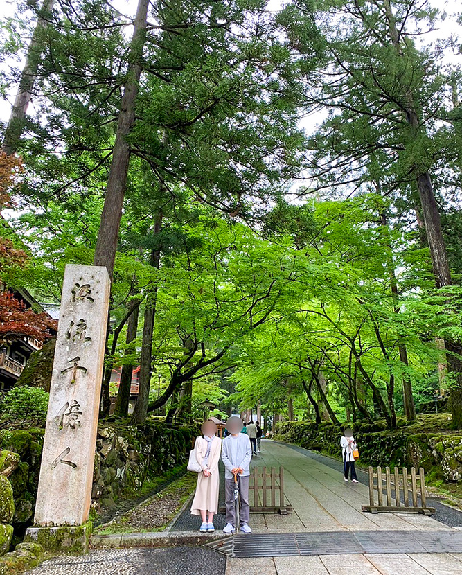 青もみじのトンネルが続く参道
